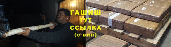 индика Новозыбков
