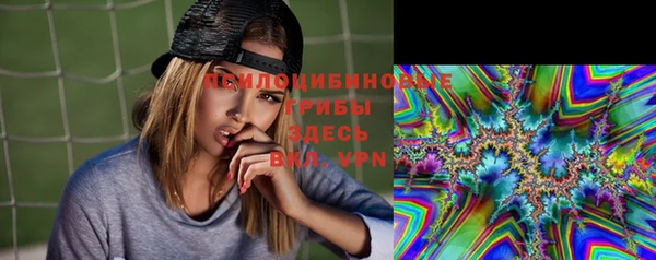 амф Алексин