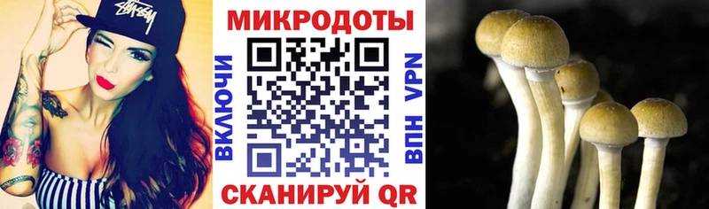 OMG tor Александровское Галлюциногенные грибы Magic Shrooms где продают наркотики